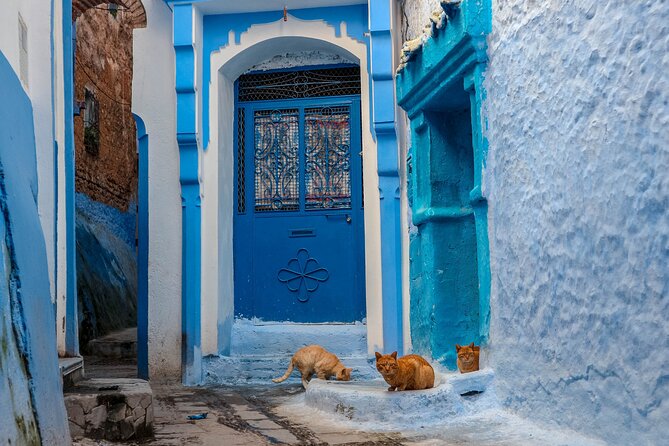 Day Trip From Fes to Chefchaouen - Lunch with a view