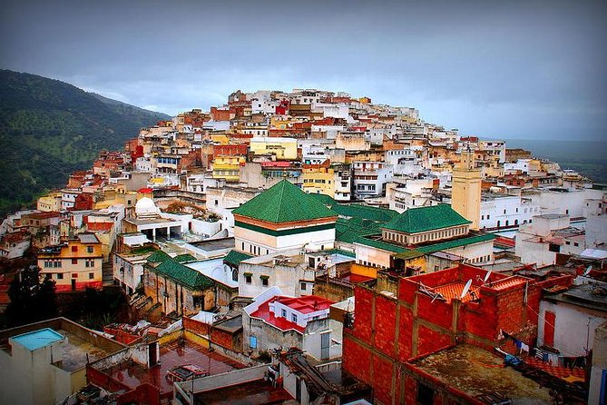 Day trip from Fes to Volubilis Moulay Idriss & Meknes - Practical ways to get more from the day