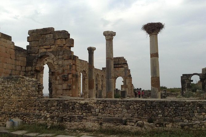 Day trip from Fes to Volubilis Moulay Idriss & Meknes - Volubilis: the strongest historical stop