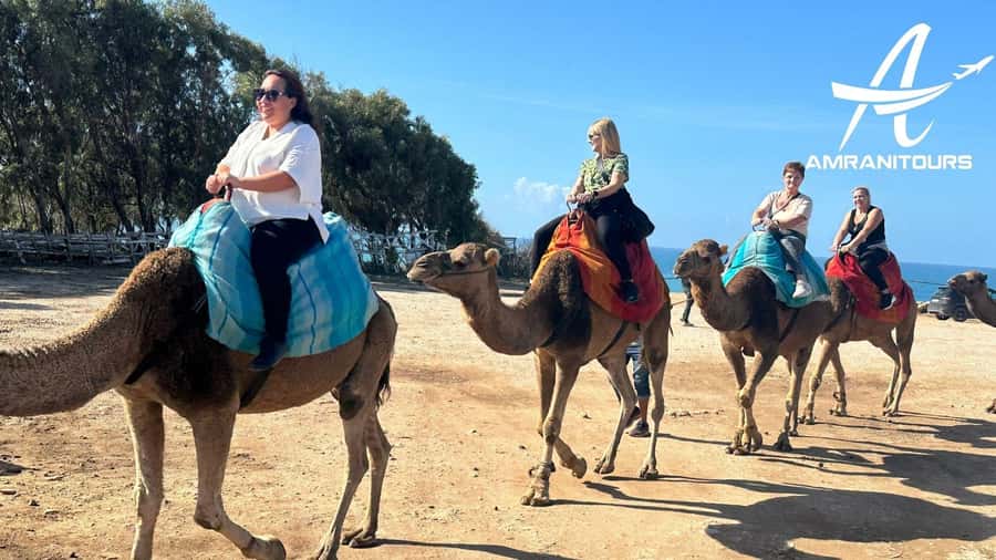 Day trip from Gibraltar to Morocco All Inclusive - The Kasbah Museum and views at Bab Al Bahr