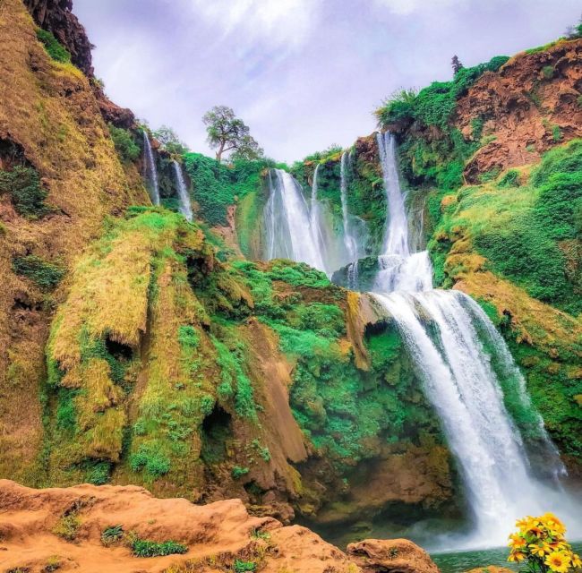 Day trip from Marrakech to Ouzoud Waterfalls - Returning to Marrakech after a full mountain day