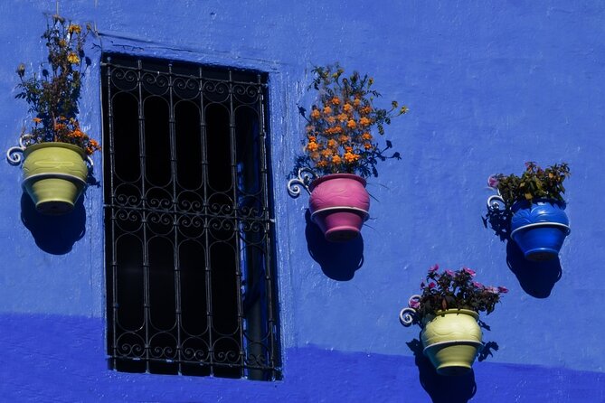 Day Trip to Chefchaouen From Fez with Local Expert - What the Guides and Drivers Add