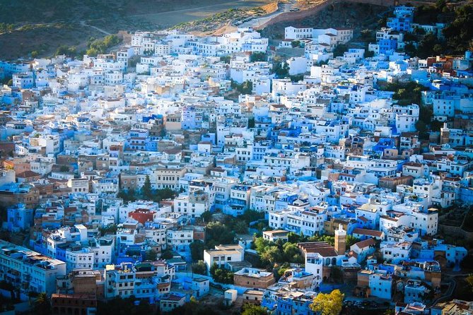 Day Trip to Chefchaouen From Fez with Local Expert - Who Should Book This Day Trip