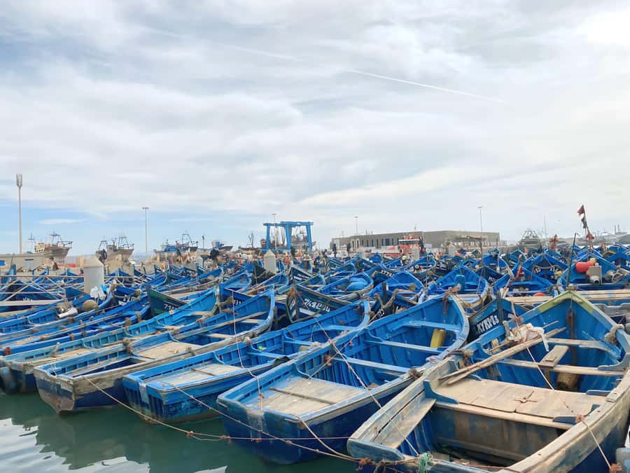 Day trip to Essaouira - Key points to know before booking