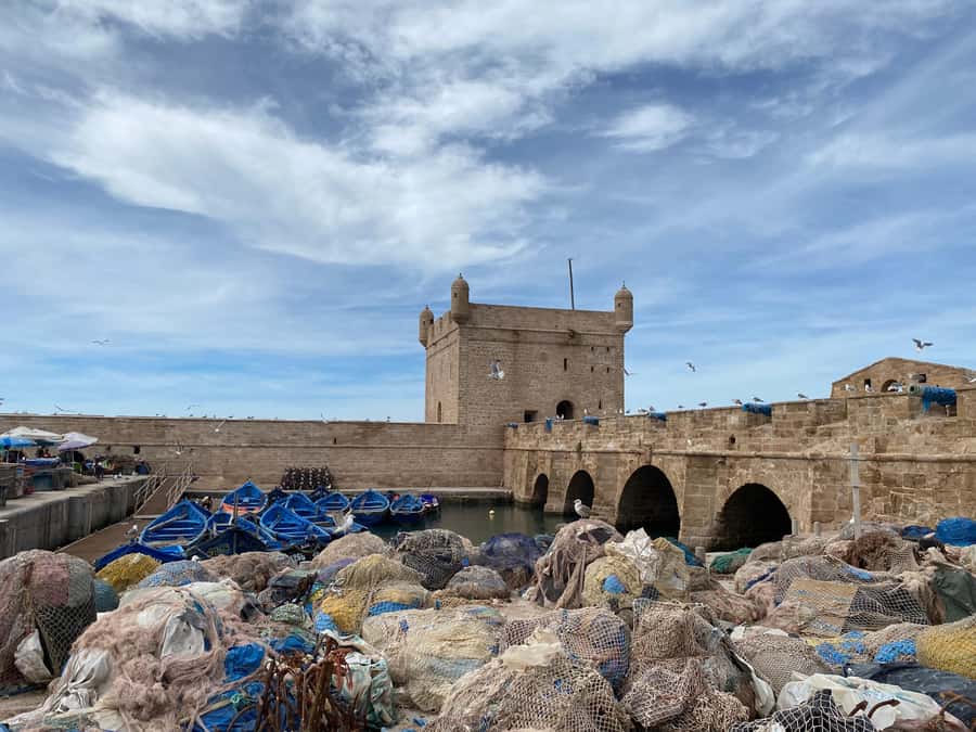 Day trip to Essaouira - The return drive and the real value of $11