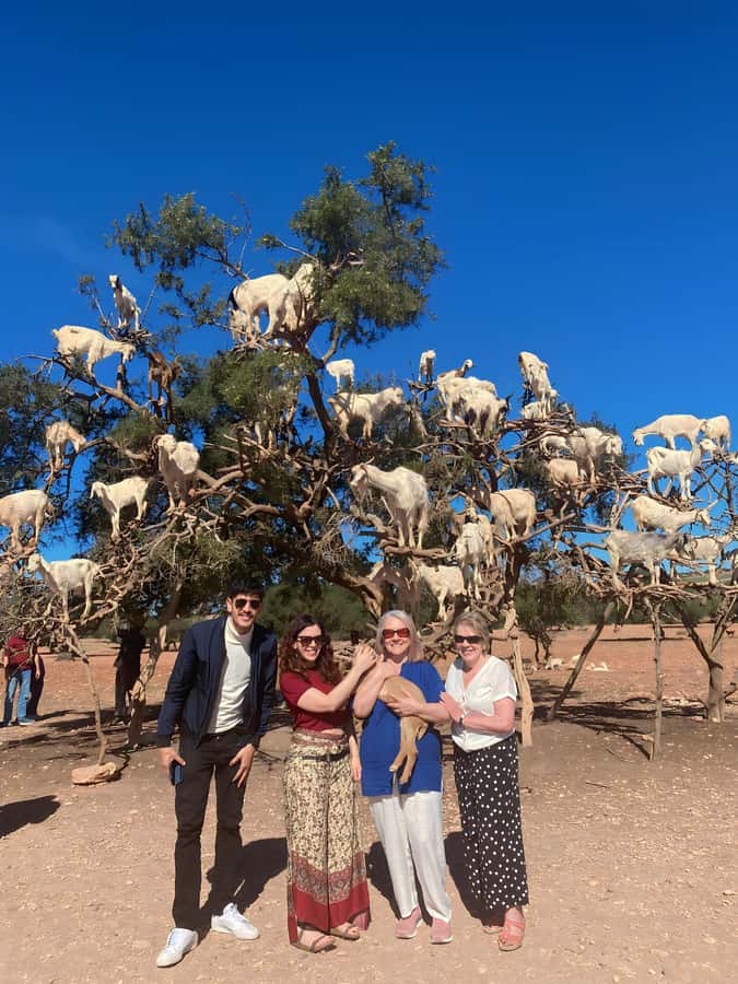 Day trip to Essaouira - Why Essaouira makes a good escape from Marrakech