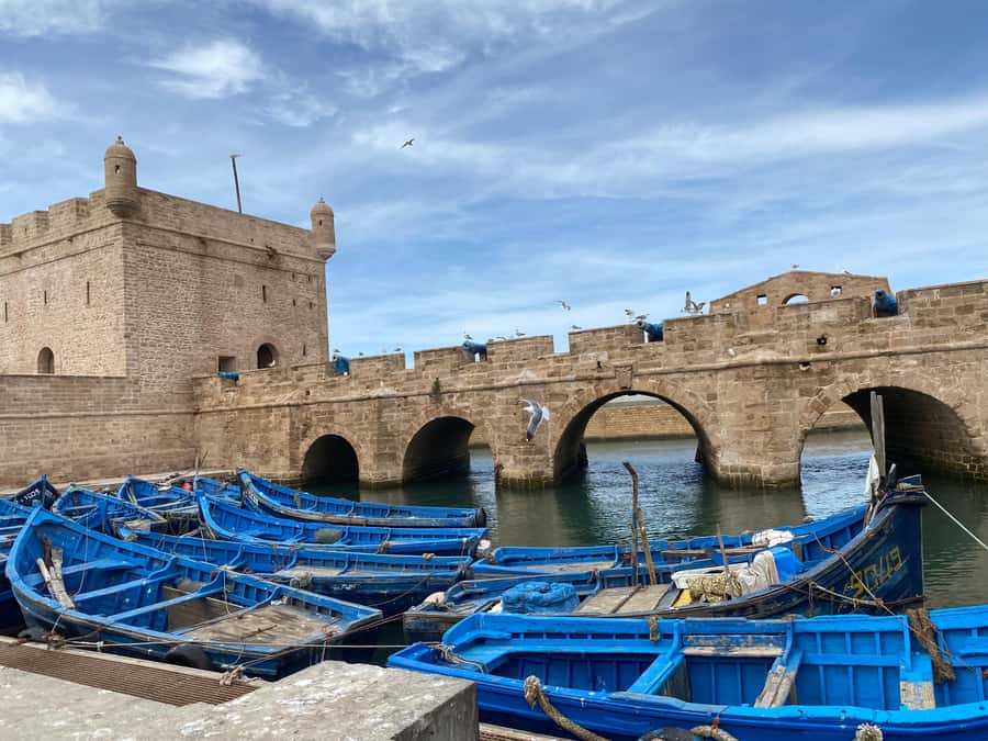 Day trip to Essaouira - Seeing how argan oil is produced