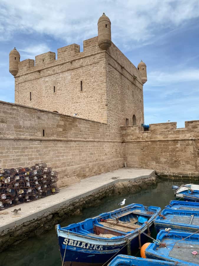 Day trip to Essaouira - Optional camel ride and flexible sightseeing