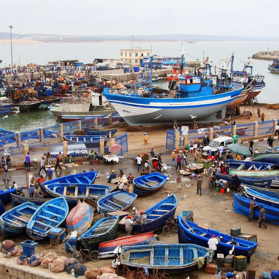 Day Trip To Essaouira From Marrakech With Guide - Chichaoua: a short break on the road