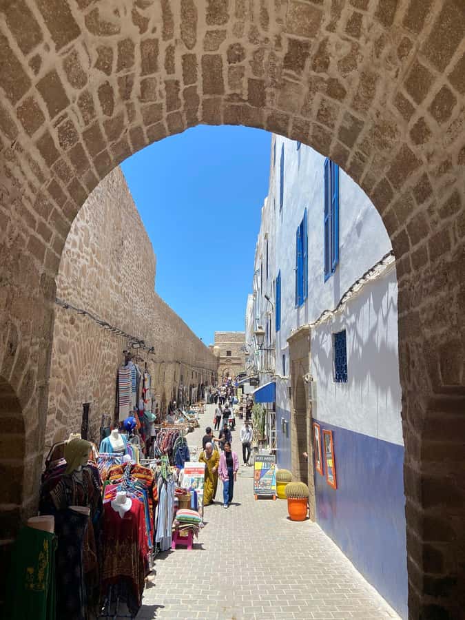 Day Trip To Essaouira From Marrakech With Guide - The argan oil cooperative
