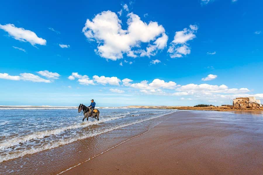 Day Trip To Essaouira From Marrakech With Guide - Skala, ramparts, and the Atlantic air