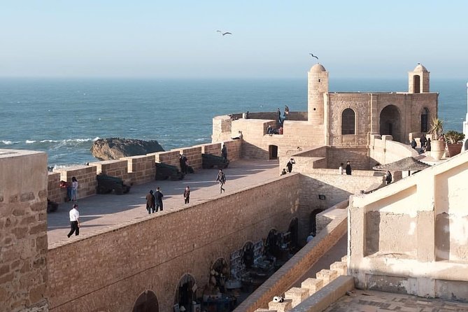 Day trip to Essaouira the portuguese town from Agadir or Taghazout - Argan Trees, Goats, and a Berber Village
