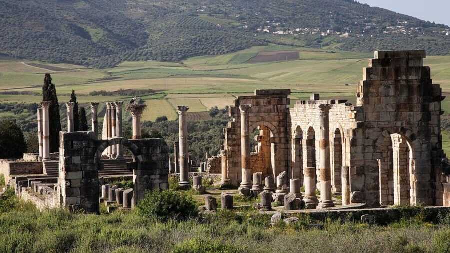 Day trip to meknes ,volubilis , moulay idris - Drivers and guides: the part you should clarify