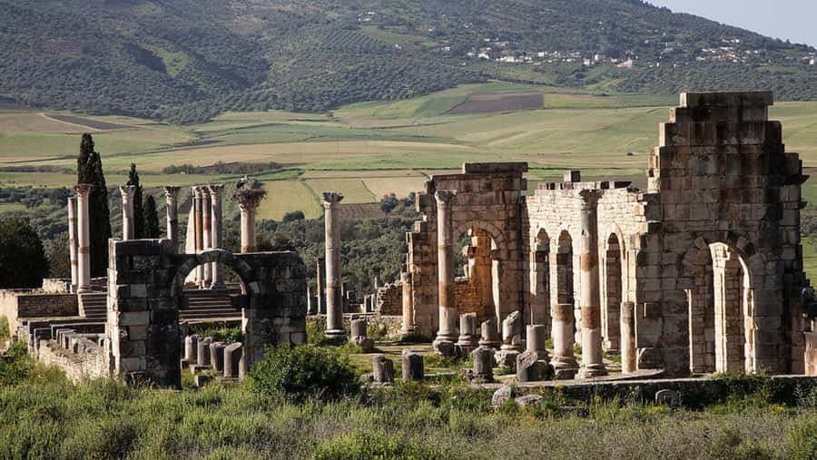 Day trip to meknes ,volubilis , moulay idris - Who will enjoy this day trip