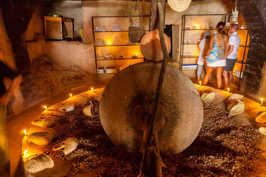 Day Trip to Ourika Valley & Atlas Mountains with Lunch - A closer look at Berber life