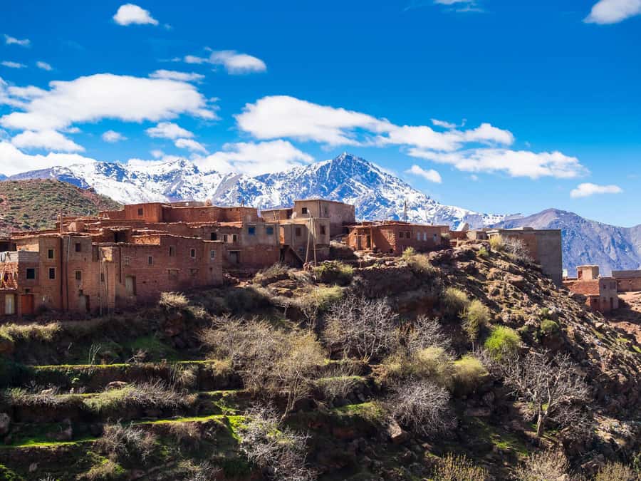 Day Trip to Ourika Valley & Atlas Mountains with Lunch - Who will enjoy this day most