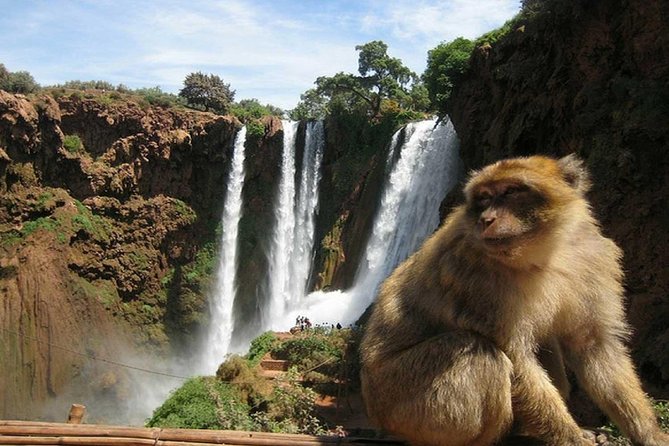Day Trip To Ouzoud Waterfalls (Guide Hike & Boat are options) - The boat ride for a lower view