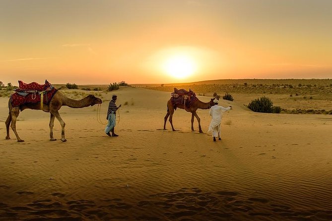 Desert Agafay & Atlas Mountains, Valleys & Waterfalls Tour from Marrakech - The 90-minute walk to the waterfall