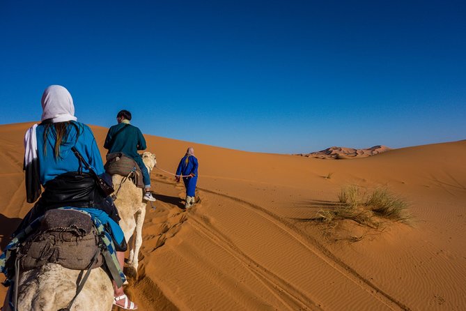 Desert Agafay & Atlas Mountains, Valleys & Waterfalls Tour from Marrakech - Who should book this Atlas day trip?