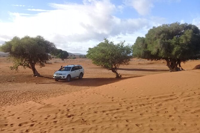 Desert and Ocean Private Day Tour - The local family meal, and what you should confirm