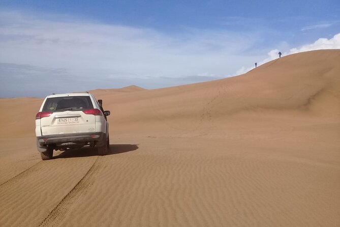 Desert and Ocean Private Day Tour - What the private format is really worth