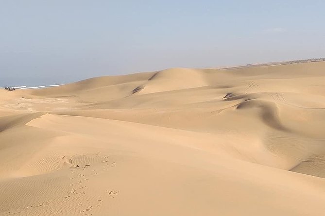 Desert and Wild Beach Day Trip with Meal - Why this trip feels different from an Agadir resort tour