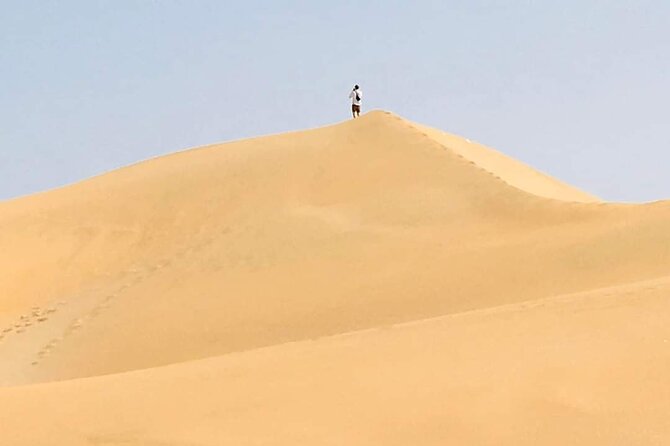 Desert and Wild Beach Day Trip with Meal - Is $52.34 a good price?