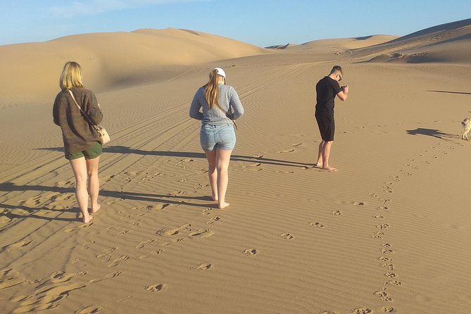 Desert and Wild Beach Day Trip with Meal - Who will enjoy the day most