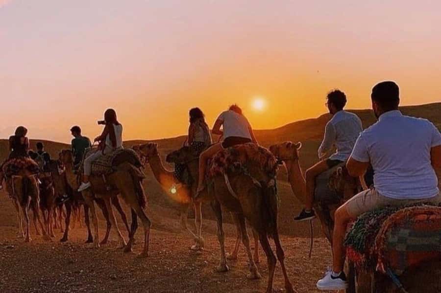 Desert & Beach Quad Adventure With Camel Ride - From Agadir to the Takate tracks