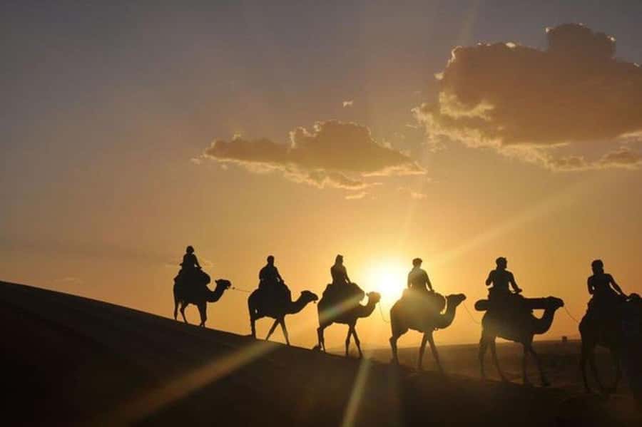 Desert & Beach Quad Adventure With Camel Ride - Ninety minutes through coast and desert