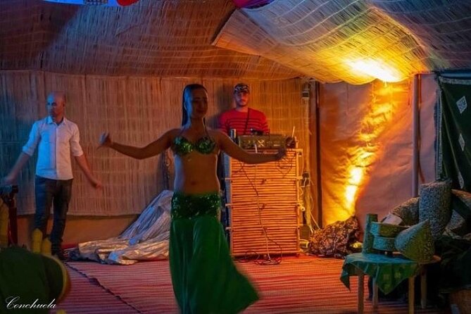 Desert D'Agafay Package - Quad, Dromedary and Dinner Show - The camel ride and the changing evening light