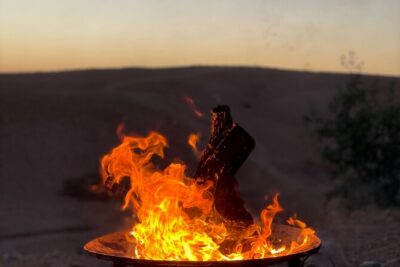 Desert Full Day: Quad, Camel, Dinner & Show or Pool Day and Lunch