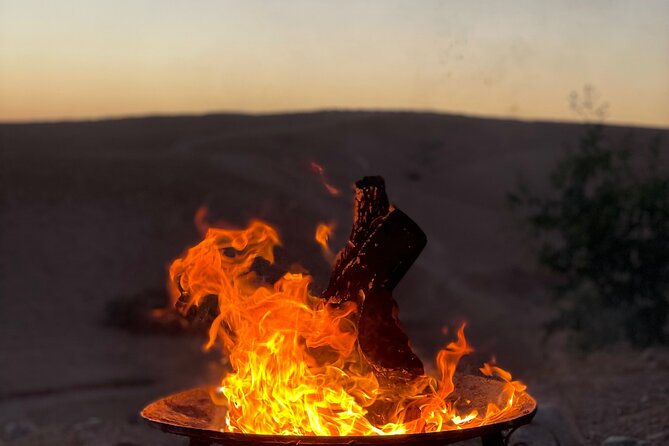 Desert Full Day: Quad, Camel, Dinner & Show or Pool Day and Lunch - Choosing the right version of the day
