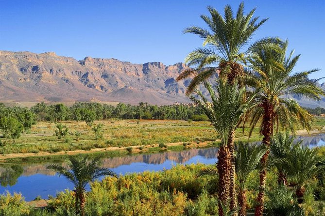 Desert Odyssey: A 2-Day Journey from Marrakech to Zagora - Why this two-day desert trip works