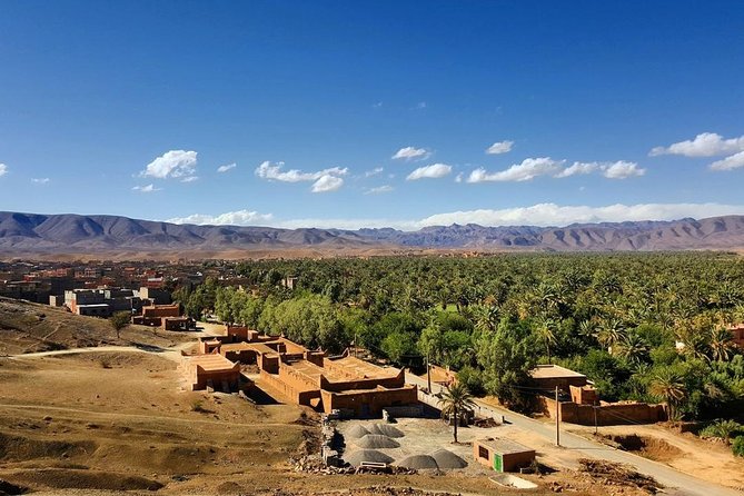 Desert Odyssey: A 2-Day Journey from Marrakech to Zagora - The palm valley and the long road to Zagora