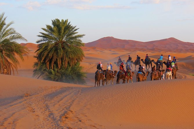 Desert Odyssey: A 2-Day Journey from Marrakech to Zagora - Dinner and a basic night in the desert