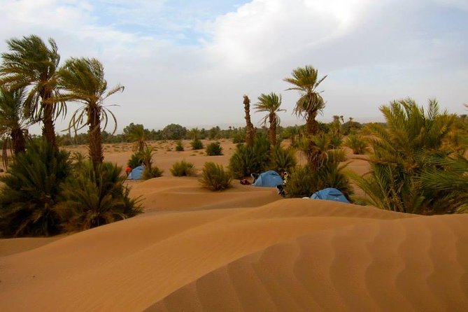 Desert Odyssey: A 2-Day Journey from Marrakech to Zagora - Tamnougalt and the 15th-century kasbah