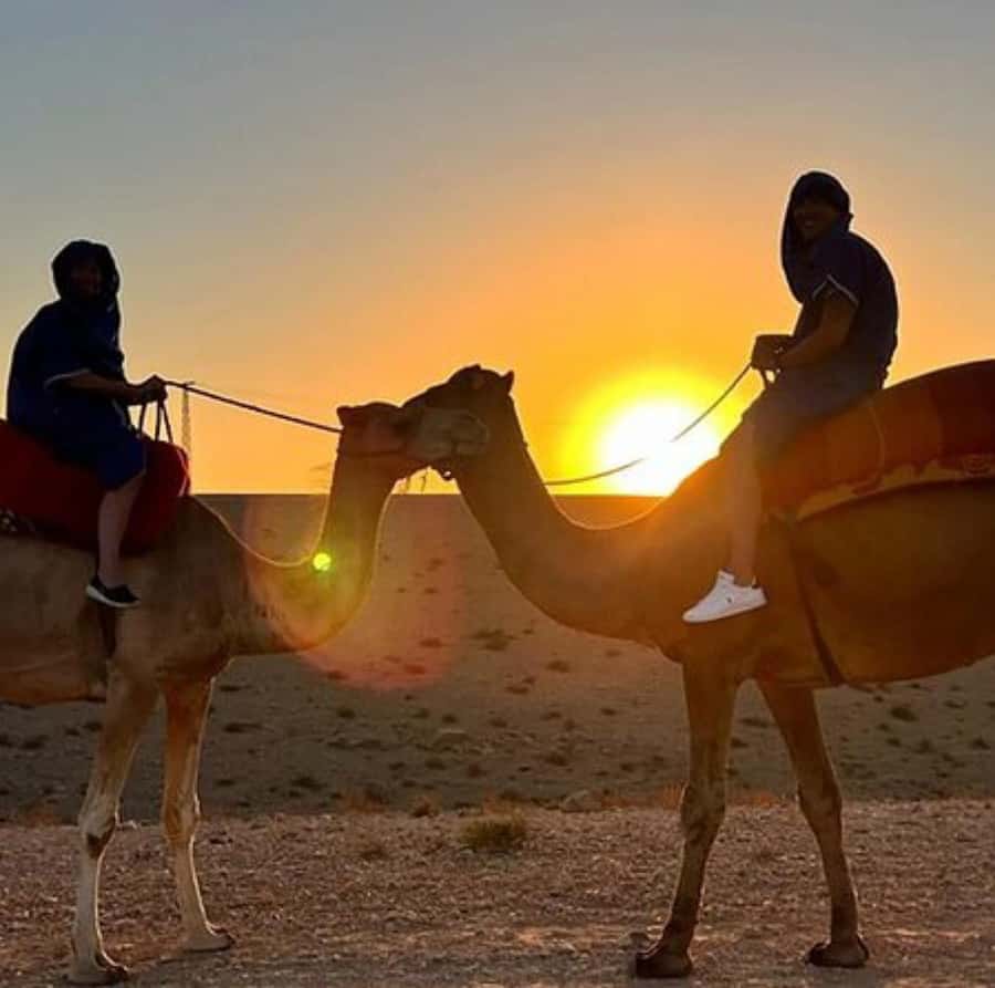 DINNER IN AGAFAY DESERT UNDER THE STARS WITH SHOW AND CAMELS - From Marrakech to the pale hills of Agafay