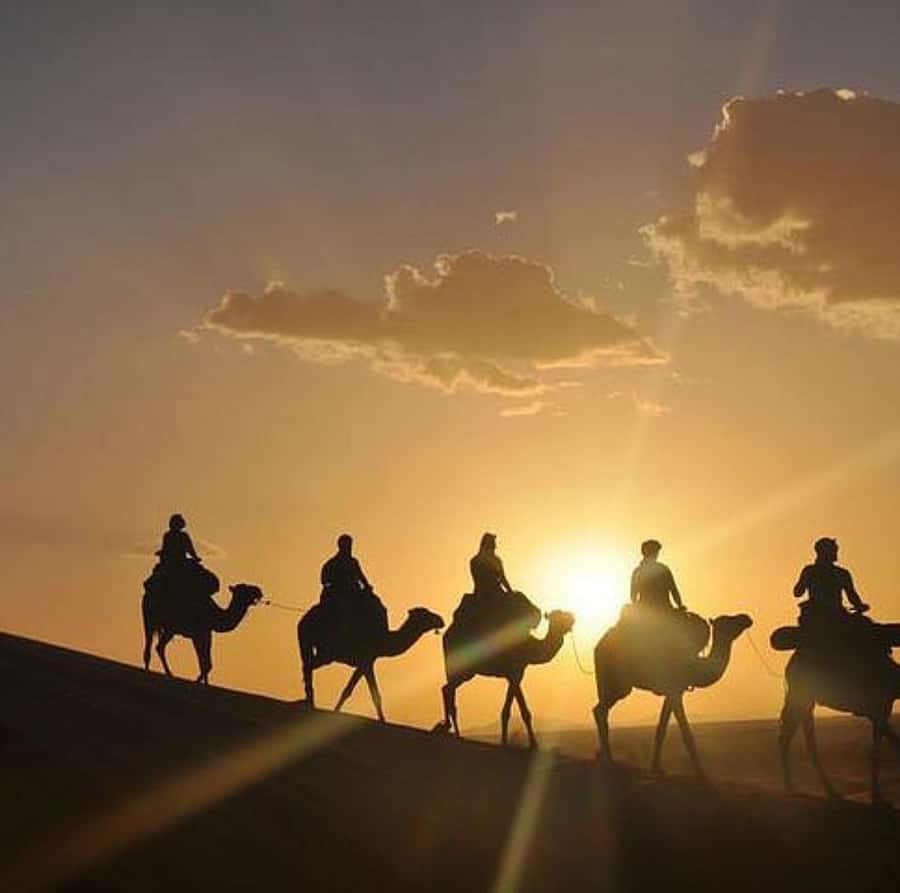 DINNER IN AGAFAY DESERT UNDER THE STARS WITH SHOW AND CAMELS - Music, dancing, and the fire show