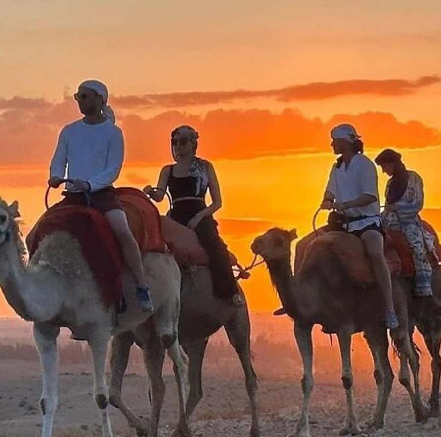 DINNER IN AGAFAY DESERT UNDER THE STARS WITH SHOW AND CAMELS - Who should book this Agafay evening?