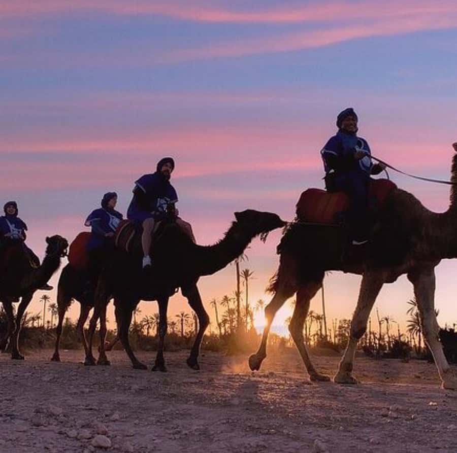 Dinner show in agafay Desert 1h quad bike & 20 min camels - Quick points before you book