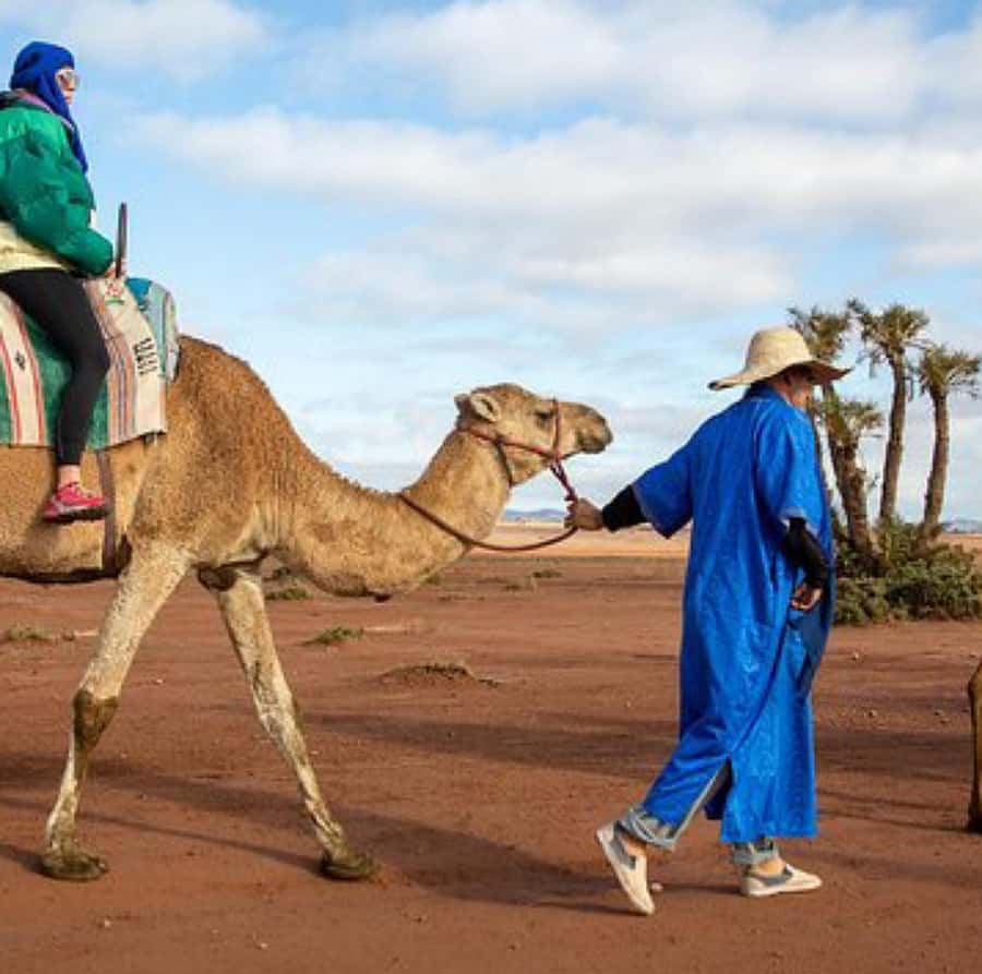 Dinner show in agafay Desert 1h quad bike & 20 min camels - Who should book this Agafay evening