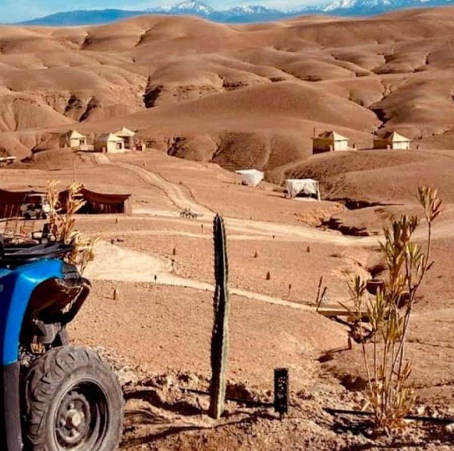 Dinner show in agafay Desert 1h quad bike & 20 min camels - Mint tea, desert camp, and the optional argan stop