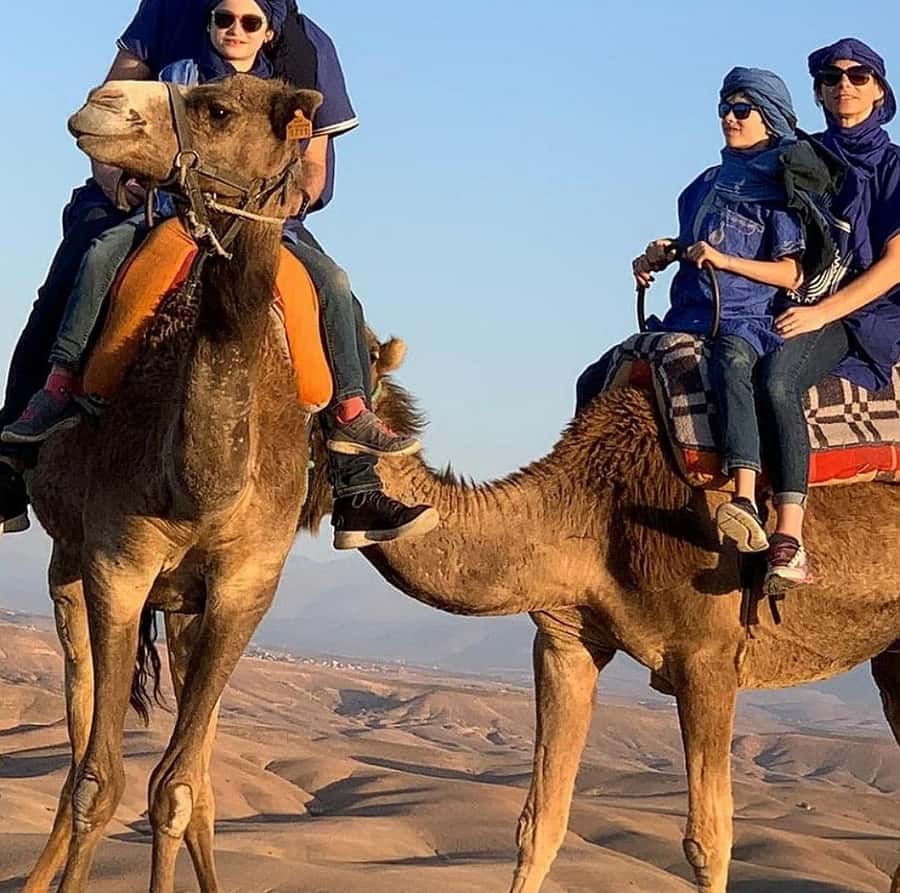 Dinner show in agafay Desert 1h quad bike & 20 min camels - What $21 really gets you