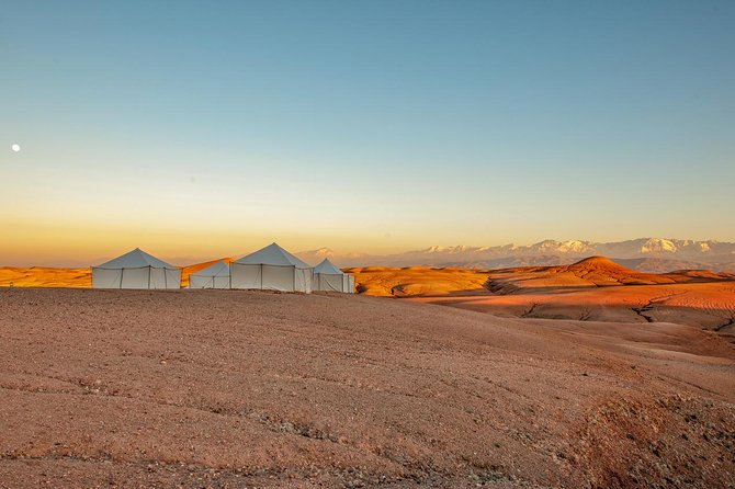Dinner Show in Agafay Desert with Quad Bike & Camels - Quad biking across the stony desert