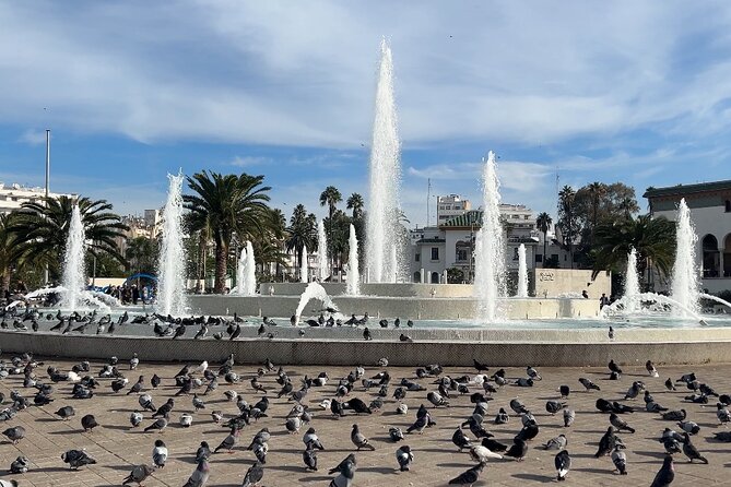 Discover Casablanca: Mosque & City Tour - Casa Port and the story behind Rick’s Café