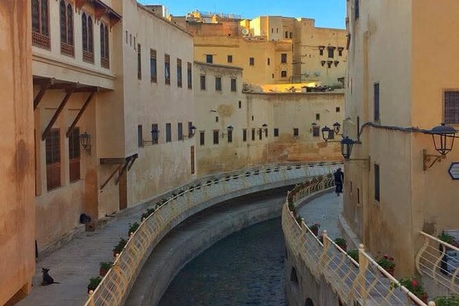 Discover Fes with the Best -Authentic Tours Unforgettable Stories - Chouara Tannery and Fez’s leather craft