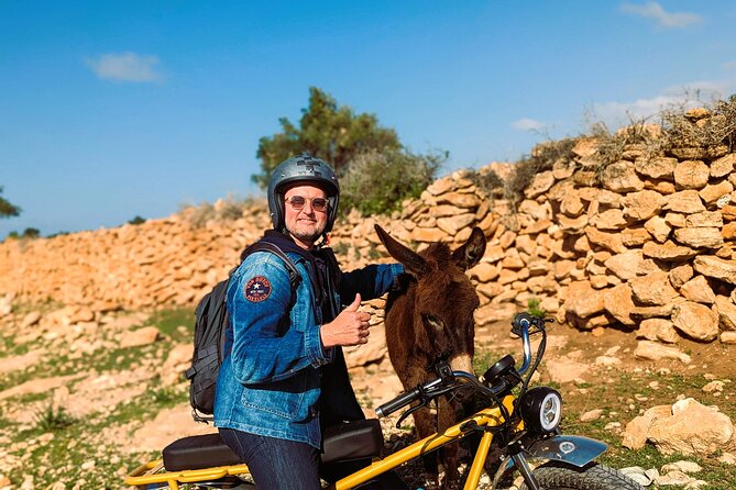 Discovery Tour around Essaouira by Electric Motorcycle - Norfolk pines and the first wide coastal views
