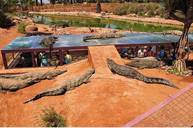 Effortless Agadir Crocoparc Ticket and Transfer Service - A botanical garden with plenty to notice