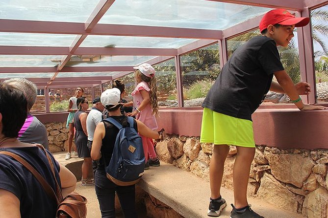 Effortless Agadir Crocoparc Ticket and Transfer Service - Transport is where the package earns its price